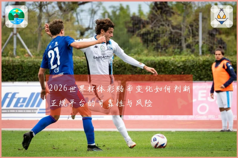 2026世界杯体彩赔率变化如何判断正规平台的可靠性与风险