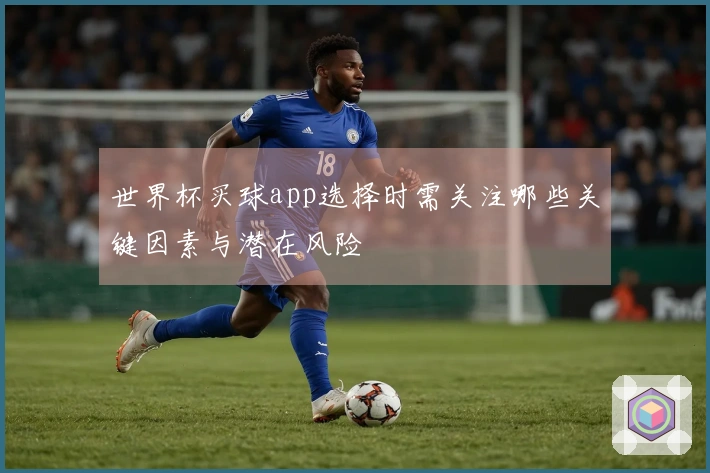 世界杯买球app选择时需关注哪些关键因素与潜在风险
