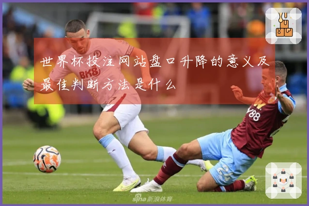世界杯投注网站盘口升降的意义及最佳判断方法是什么