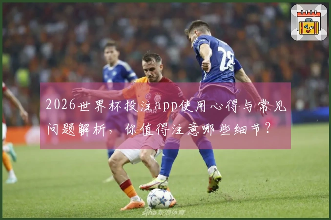 2026世界杯投注app使用心得与常见问题解析，你值得注意哪些细节？