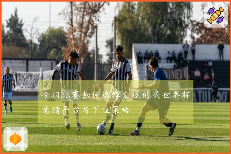 冷门比赛如何选择合适的买世界杯竞猜平台与下注策略