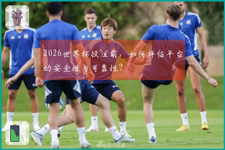 2026世界杯投注前，如何评估平台的安全性与可靠性？