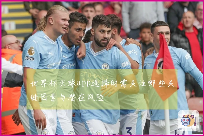 世界杯买球app选择时需关注哪些关键因素与潜在风险