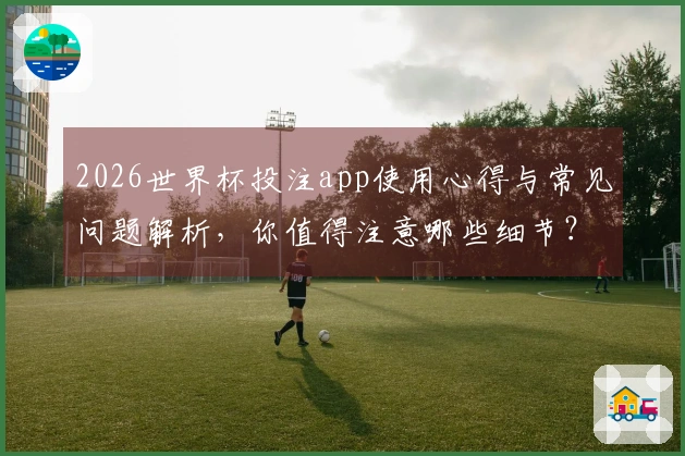 2026世界杯投注app使用心得与常见问题解析，你值得注意哪些细节？