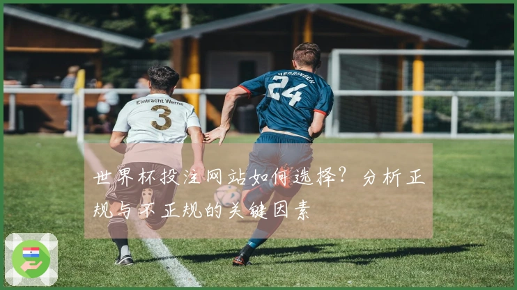 世界杯投注网站如何选择？分析正规与不正规的关键因素