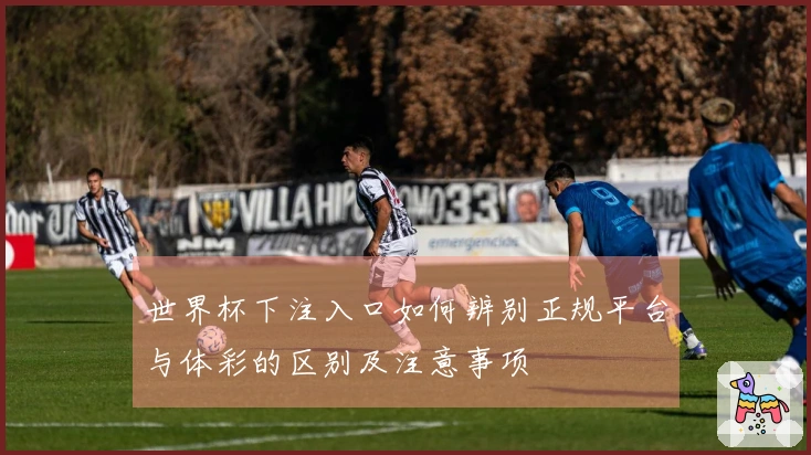 世界杯下注入口如何辨别正规平台与体彩的区别及注意事项