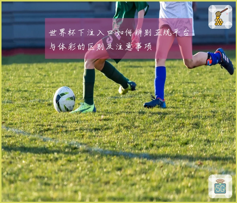 世界杯下注入口如何辨别正规平台与体彩的区别及注意事项